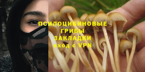 первитин Володарск