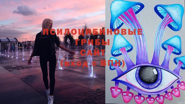 первитин Володарск